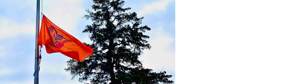 orange  flag with a black emblem on a flag pole